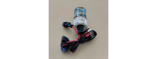 H1 XENON  lemputė  6000K