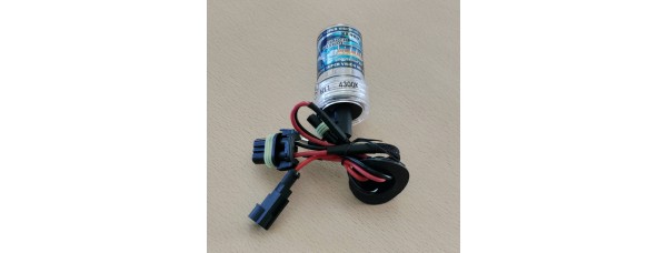 H1 XENON  lemputė  4300K